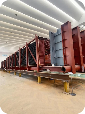 economizer fouling and ash buildup control