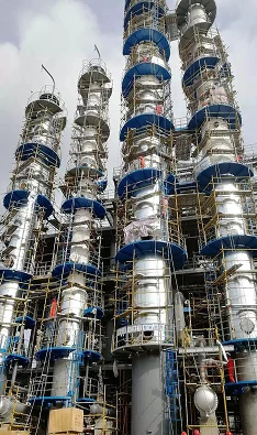 petrochemical plant capacity expansion support