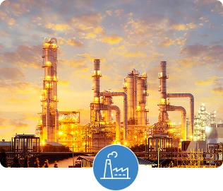 petrochemical plant maintenance and revamp support